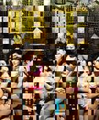 鸭王2电影免费观看完整版普通话