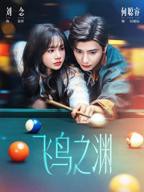 《飞鸟之渊》短剧免费高清观看在线全集完整版